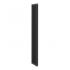 Дизайн-радиатор Royal Thermo Insignia C2180 - 06 секц. RAL9005m